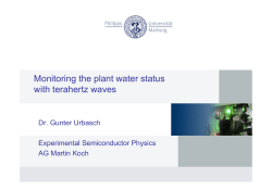 Monitoring the plant water status with terahertz waves
