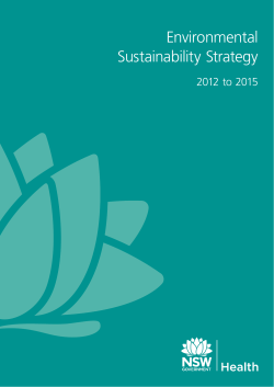 Environmental Sustainability Strategy