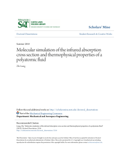 Molecular simulation of the infrared absorption cross section and