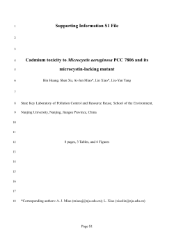 Supporting Information for