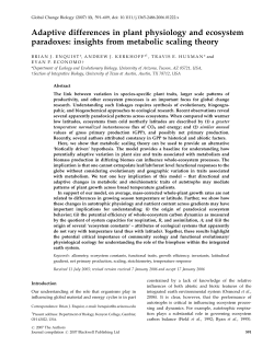 Adaptive differences in plant physiology and ecosystem