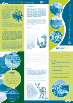 Take note Animals Activities