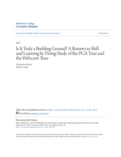 Is It Truly a Building Ground? A Returns to Skill and