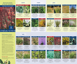 Declared plants of South Australia - are they on your land?