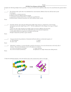 Document