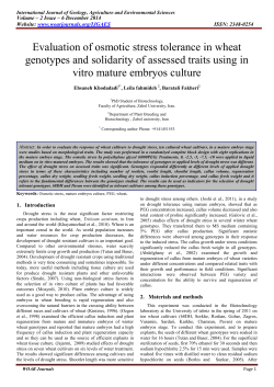 Evaluation of osmotic stress tolerance in wheat