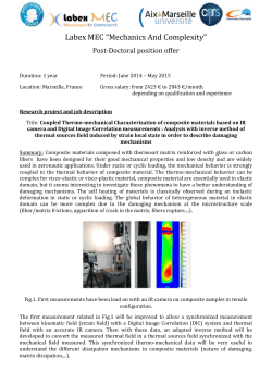 Labex MEC &ldquo;Mechanics And Complexity&rdquo; Post