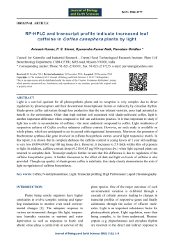 caffeine in Coffea canephora plants by light