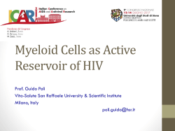 HIV Persistence