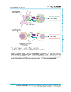 The role of signals 1 and 2 in T-cell activation