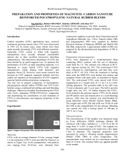preparation and properties of magnetite&ndash;carbon nanotube