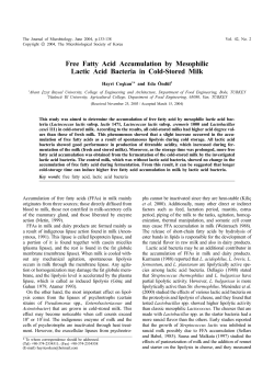 Free Fatty Acid Accumulation by Mesophilic Lactic Acid Bacteria in