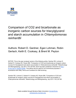 Comparison of CO2 and bicarbonate as inorganic carbon sources