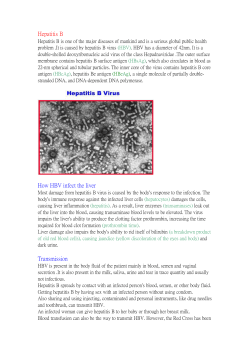 Hepatitis B