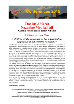 Conférence GIRC Tuesday 3 March Nazanine Modjtahedi Gustave