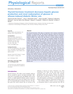 Thyroid hormone treatment decreases hepatic glucose production