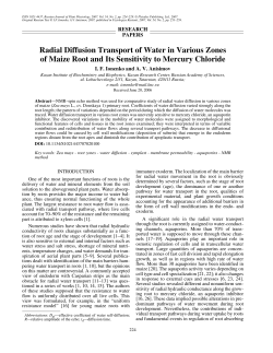 Radial diffusion transport of water in various zones of maize