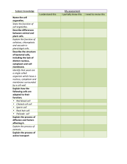 B2 Revision Checklist