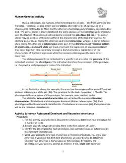 Autosomal Dominant and Recessive Human Traits