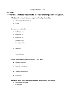 Food chains and food webs model the flow of energy in an ecosystem.