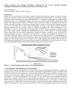 Choices, pathways, and emerging renewables: Exploring the role of