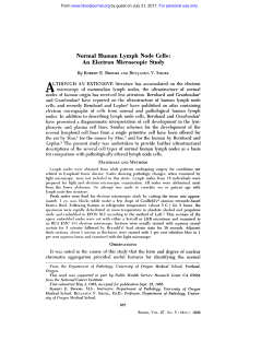 Normal Human Lymph Node Cells: An Electron