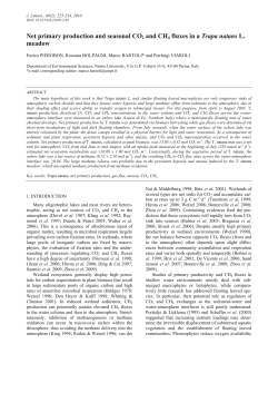 Net primary production and seasonal CO2 and CH4 fluxes in a