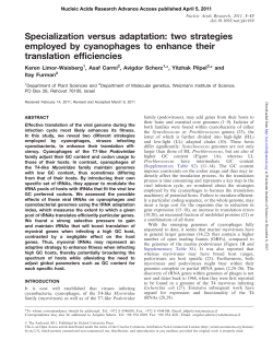 Specialization versus adaptation: two strategies employed by