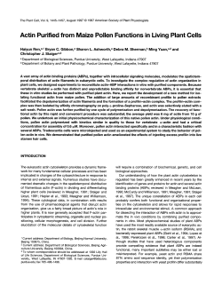Actin Purified from Maize Pollen Functions in Living Plant Cells