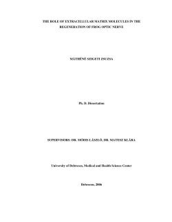 THE ROLE OF EXTRACELLULAR MATRIX MOLECULES IN