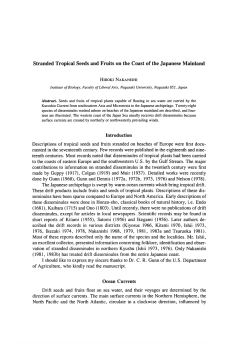 Stranded Tropical Seeds and Fruits on the Coast of