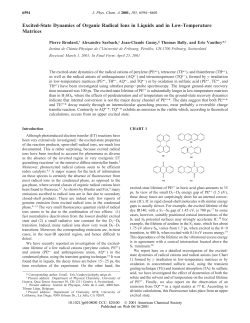Excited-State Dynamics of Organic Radical Ions in Liquids and in