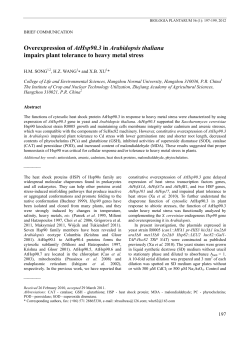 4.Overexpression of AtHsp90.3 in Arabidopsis thaliana impairs plant