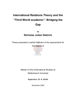 International Relations Theory and the "Third World academic