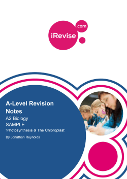 A-Level Revision Notes
