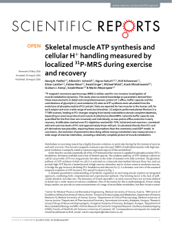 Skeletal muscle ATP synthesis and cellular H+ handling measured