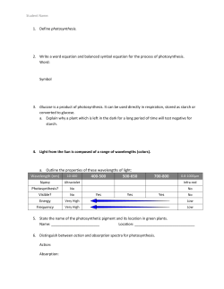 Photosynthesis and Cell Respiration Review Sheet File