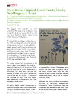 Tropical Forest Fruits, Seeds, Seedlings and Trees