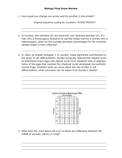 Biology Final Exam Review How would you change one amino acid