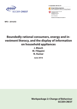 Boundedly rational consumers, energy and