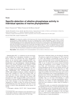 Specific-detection of alkaline phosphatase activity in individual