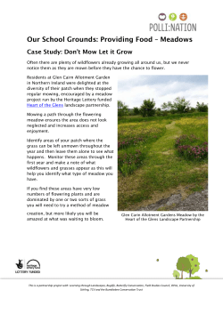 Meadows: Case Study - Don`t Mow, Let it Grow docx