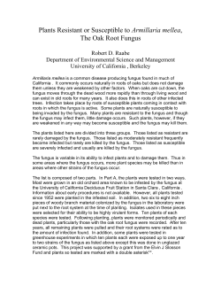 Complete Oak Root Fungus List