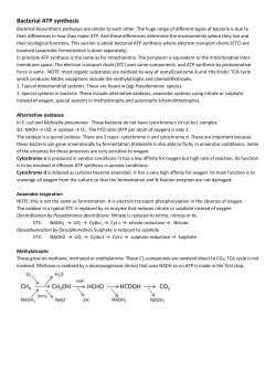 Downoad as Word document