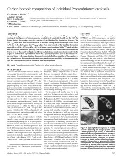 Carbon isotopic composition of individual