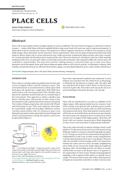 place cells