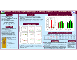 Potential nitrification activity and abundance of nitrifying bacteria in