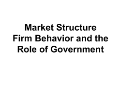 Market Structure and Firm Behavior