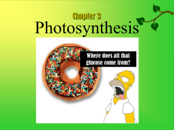 Photosynthesis - Meant4Teachers.com