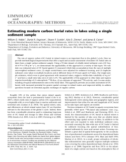 Estimating modern carbon burial rates in lakes using a single